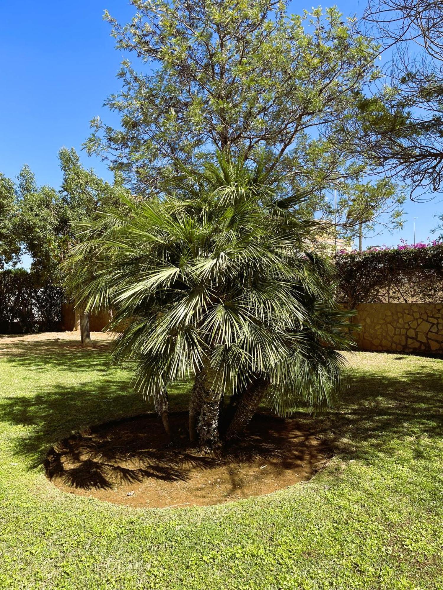 Apartamento El Casa Kama Dénia Exterior foto