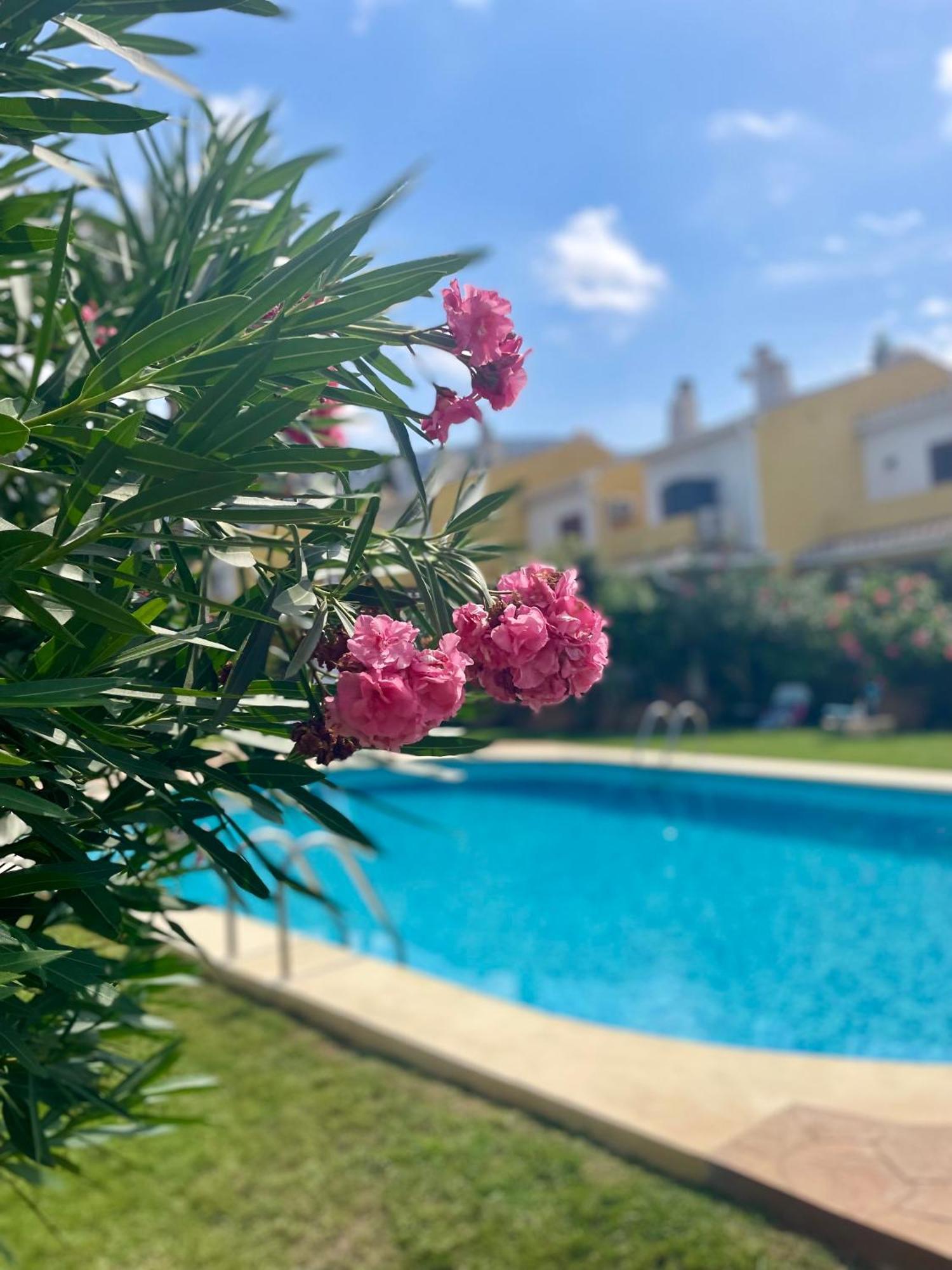 Apartamento El Casa Kama Dénia Exterior foto